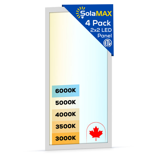 2x4 LED Flat Panel Light